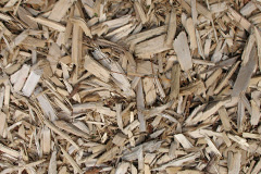 biomass boilers Birchwood