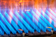 Birchwood gas fired boilers